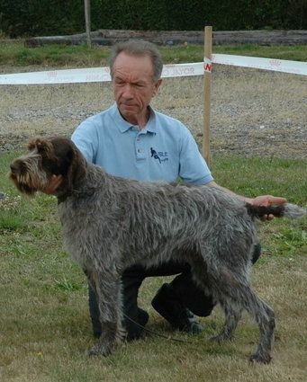 Publication : du ruisseau de rossignol Auteur : MLI