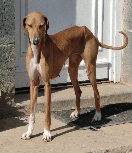 Publication : de la dehannaie