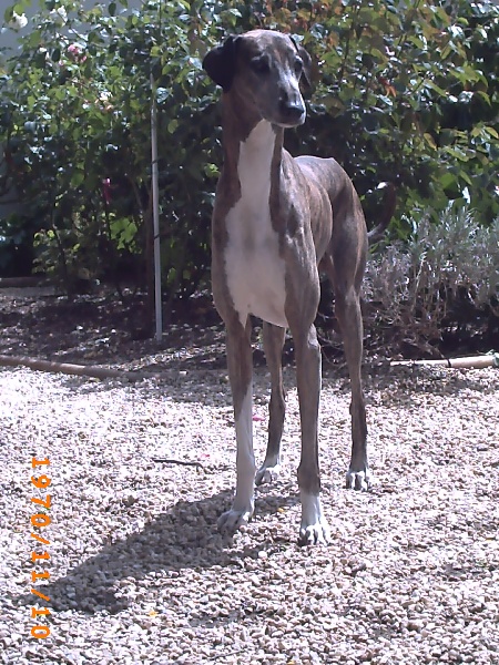 Publication : de la dehannaie