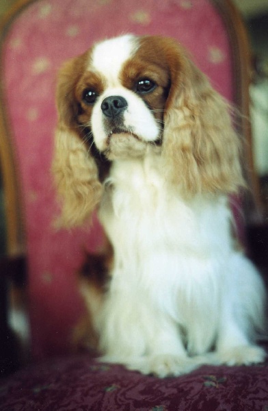 Publication : de cartledge