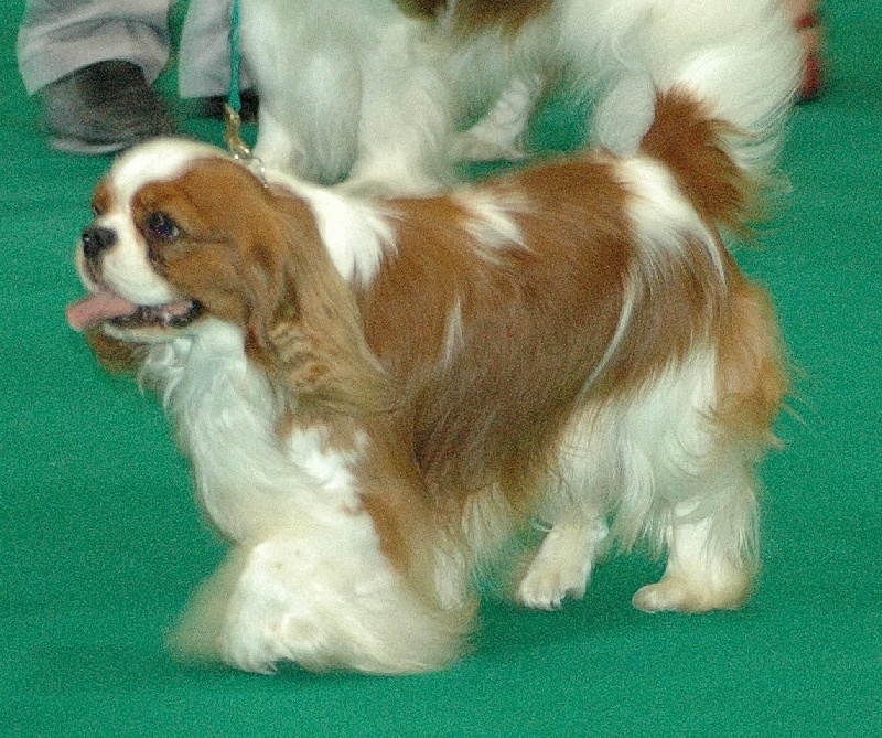 Publication : de cartledge