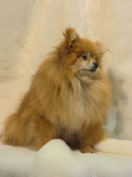 Publication : du mont de la chenaie Auteur : RODRIGUEZ