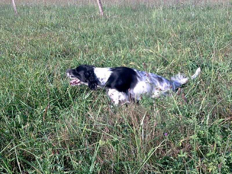 Publication : de Rack Land Auteur : M. AVRIL david