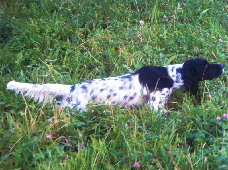 Publication : de Rack Land Auteur : M. AVRIL david