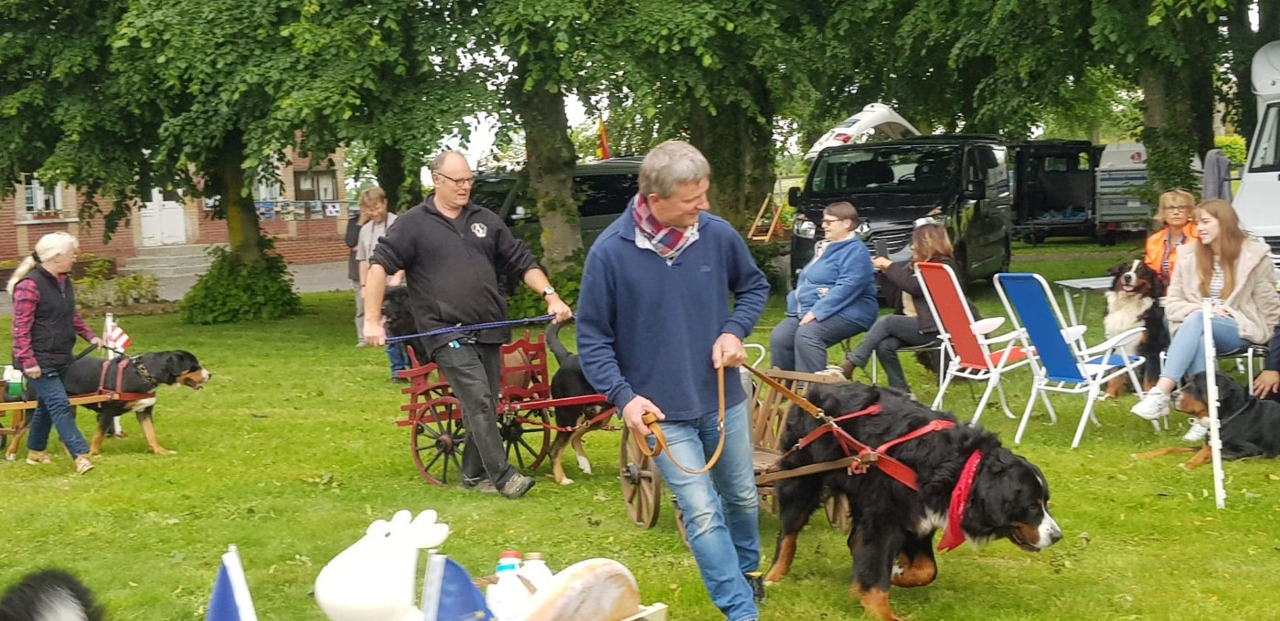 SYRIUS de l'attelage de rubis
