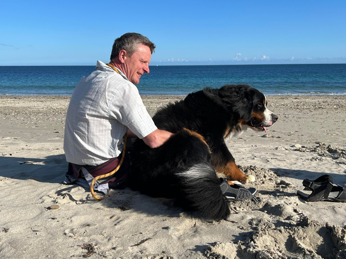 SYRIUS de l'attelage de rubis