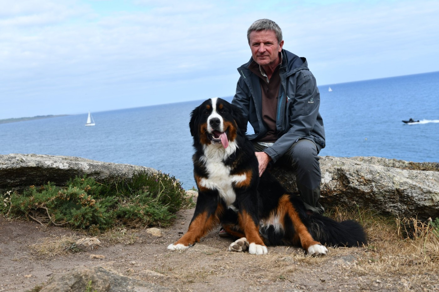 SYRIUS de l'attelage de rubis