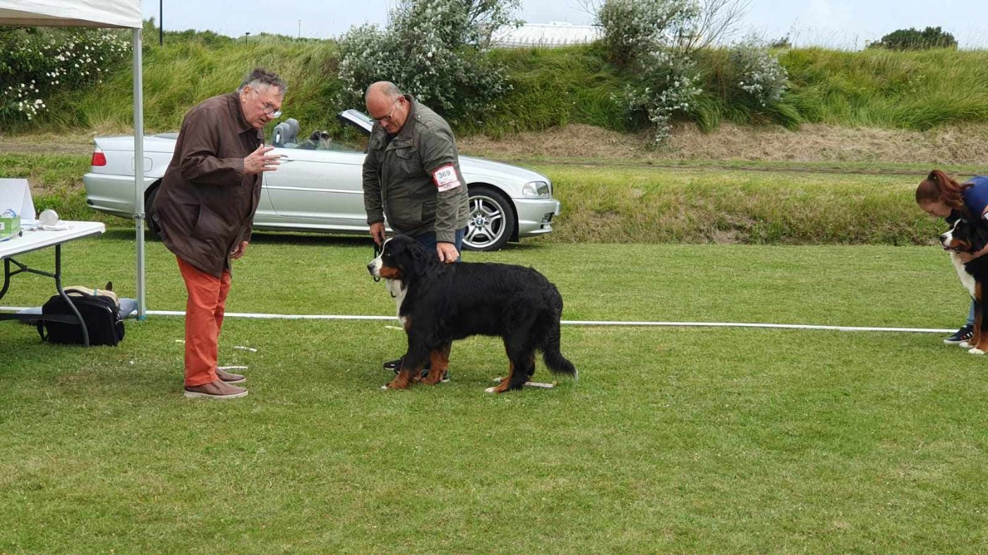 Tryskel rubis des Elfes Du Vent