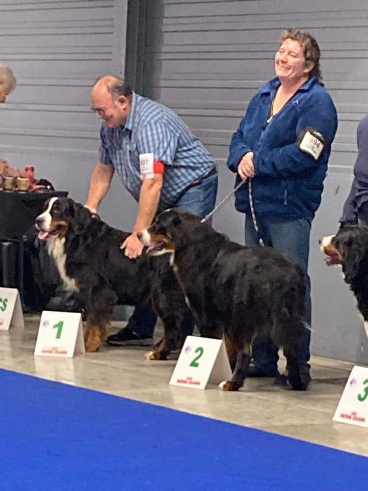 Tryskel rubis des Elfes Du Vent