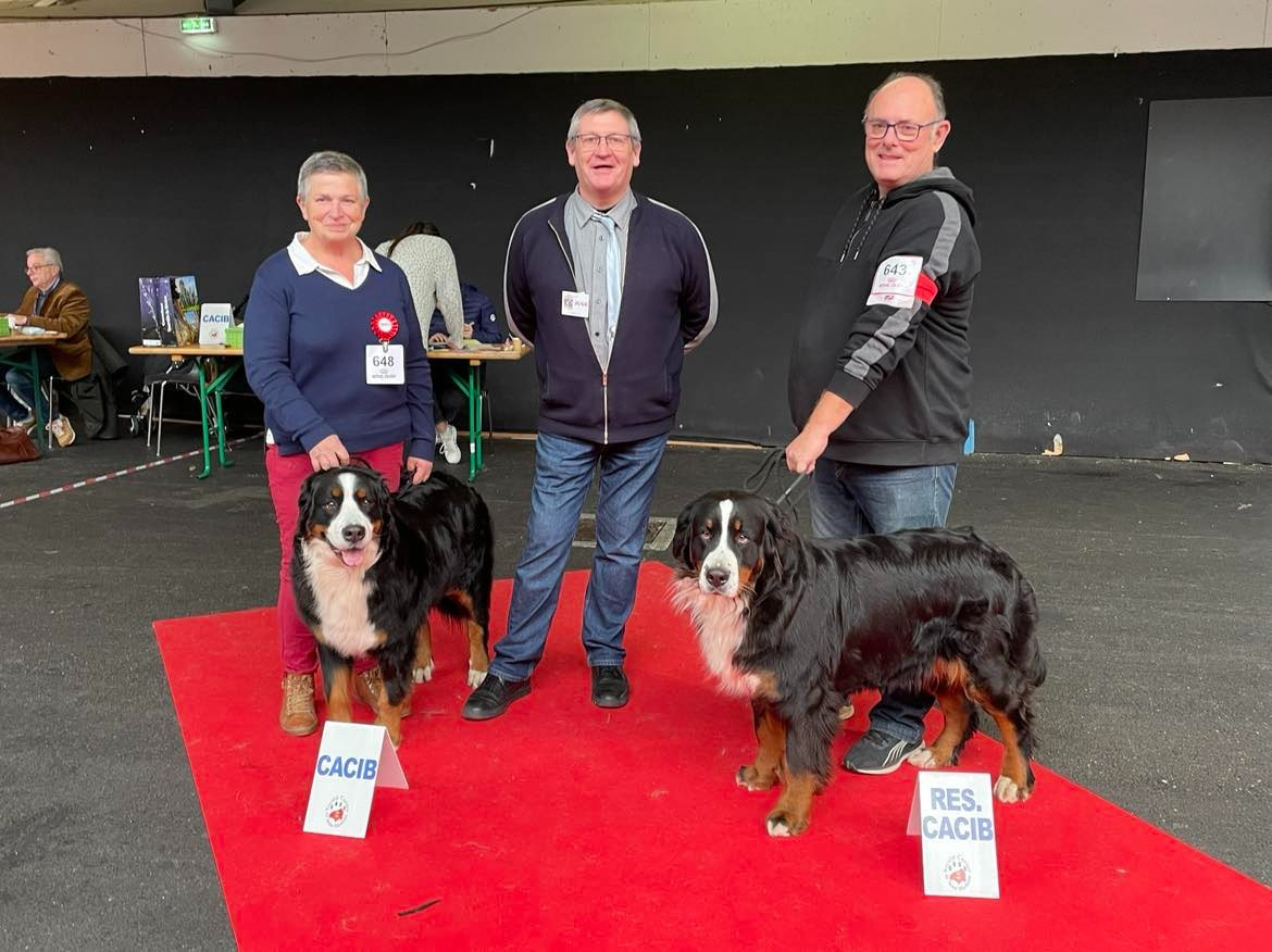 Tryskel rubis des Elfes Du Vent