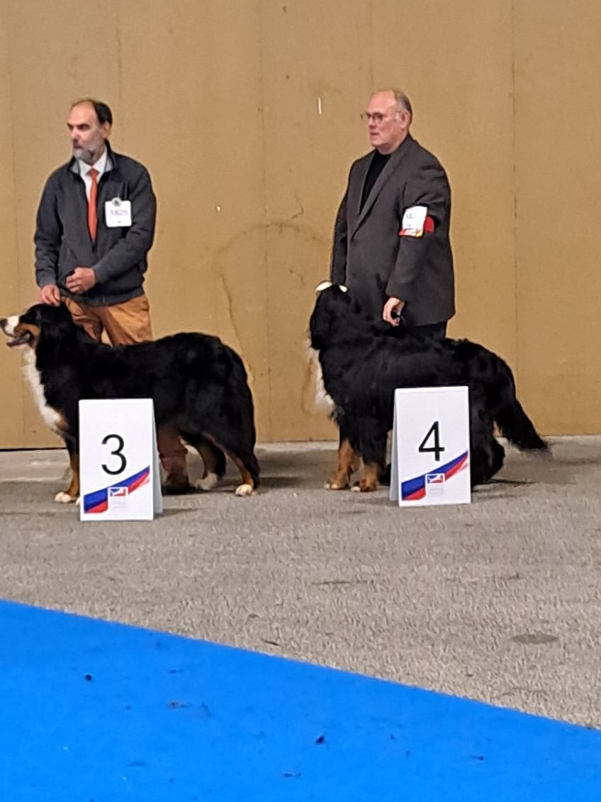 Tryskel rubis des Elfes Du Vent