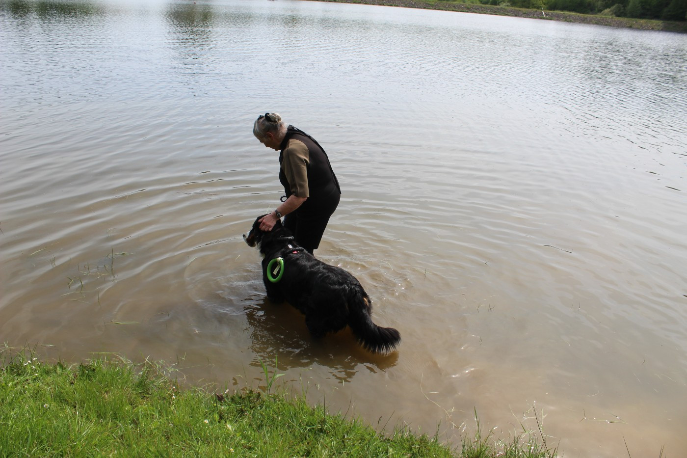 Tryskel rubis des Elfes Du Vent