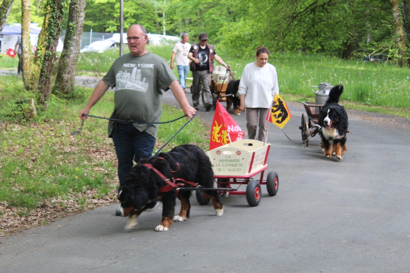 Tryskel rubis des Elfes Du Vent