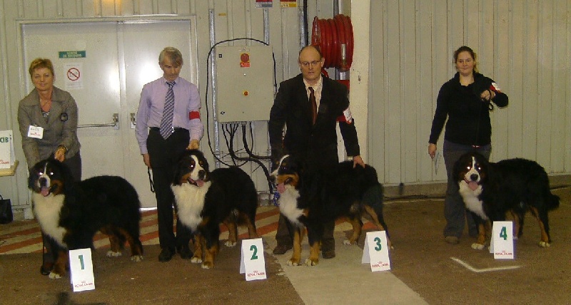 Cochise Des alpages de prafandaz - 3 éme Excellent