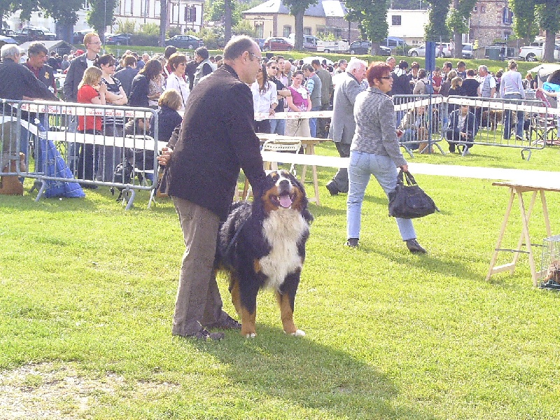 Cochise Des alpages de prafandaz - 1 er Excellent RCACS