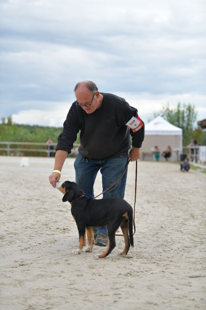 korona rossii Klariche (khazad dum) - 1er Très Prometteur meilleur baby