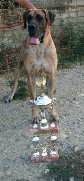 Flaubert des Princes de Cocagne - Meilleur chien de Exposition.