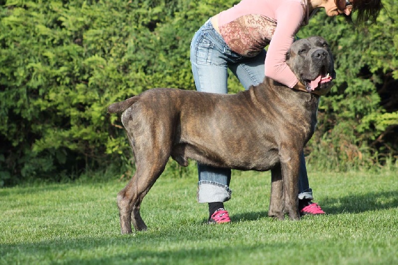 Publication : du Coliseum de Cassiopé