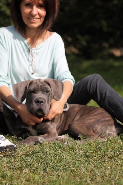 Publication : du Coliseum de Cassiopé