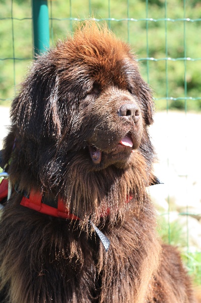 Publication : des Bois de la Grotte Fleury Auteur : Nathalie FLEURY