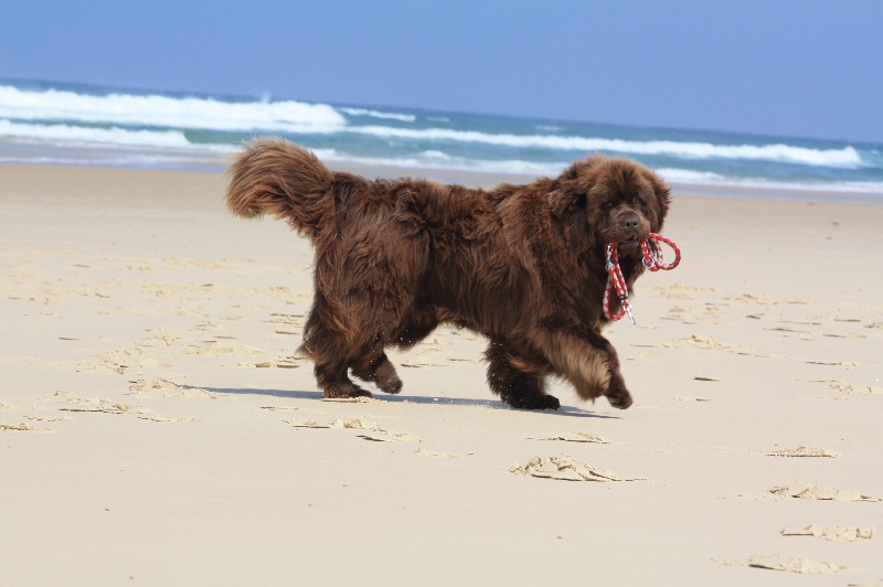 Publication : des Bois de la Grotte Fleury Auteur : Nathalie FLEURY