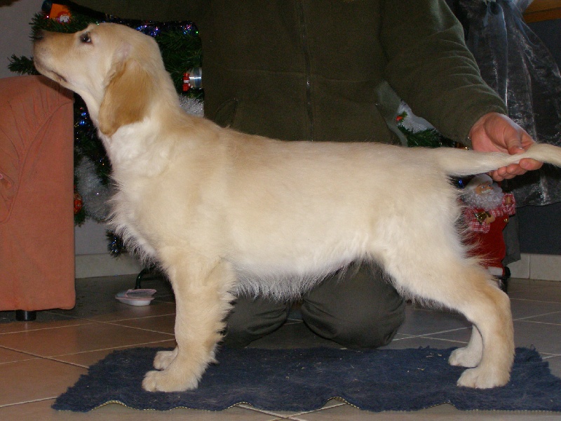 Publication : du Clos des Facons