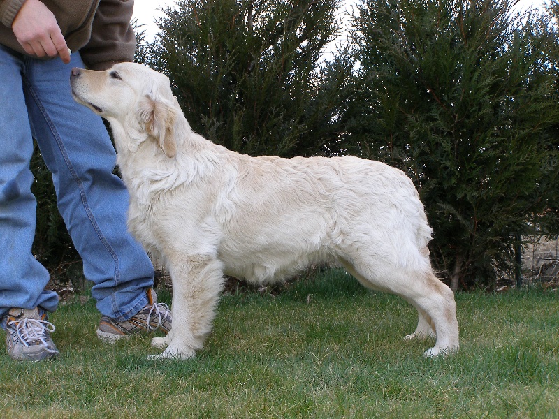 Publication : du Clos des Facons