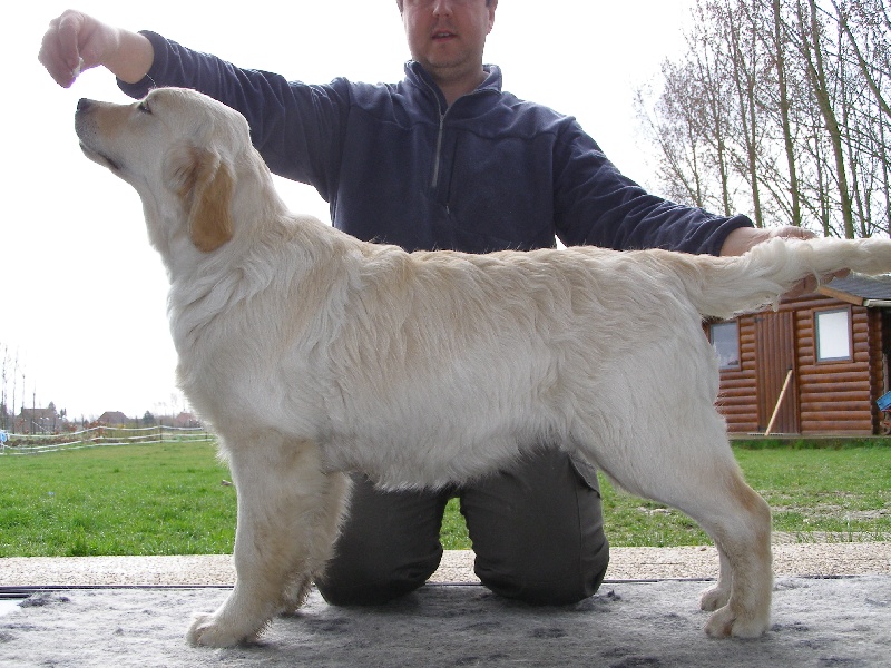 Publication : du Clos des Facons