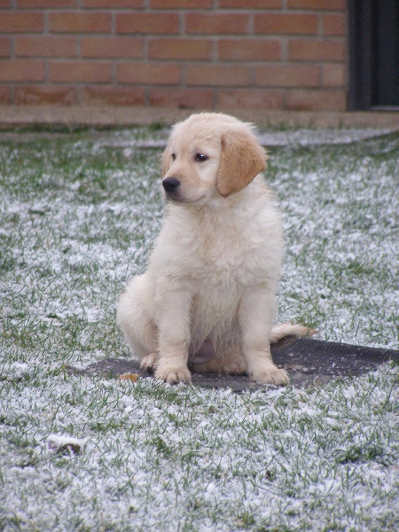 Publication : du Clos des Facons