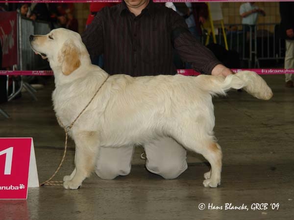 Dis moi comment des jardins d'Epona - 1er TP et Best puppy