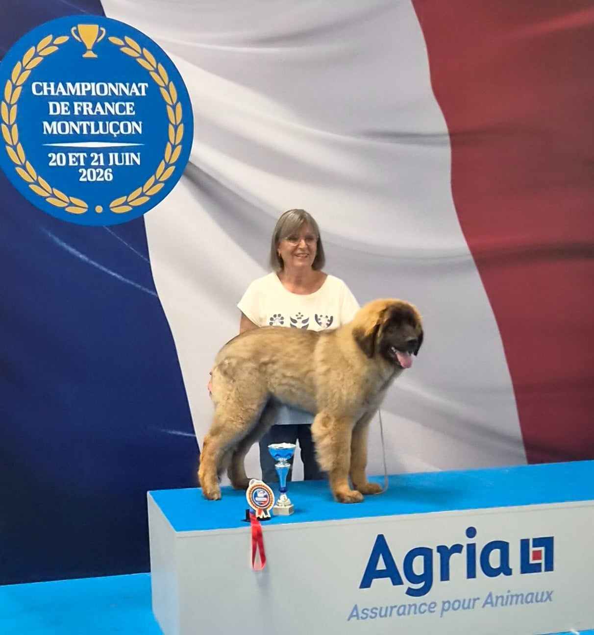 B'Naboo Ideal Love des Géants de l'Ange Blanc - Meilleur Baby et Baby Latin Winner (ACL)