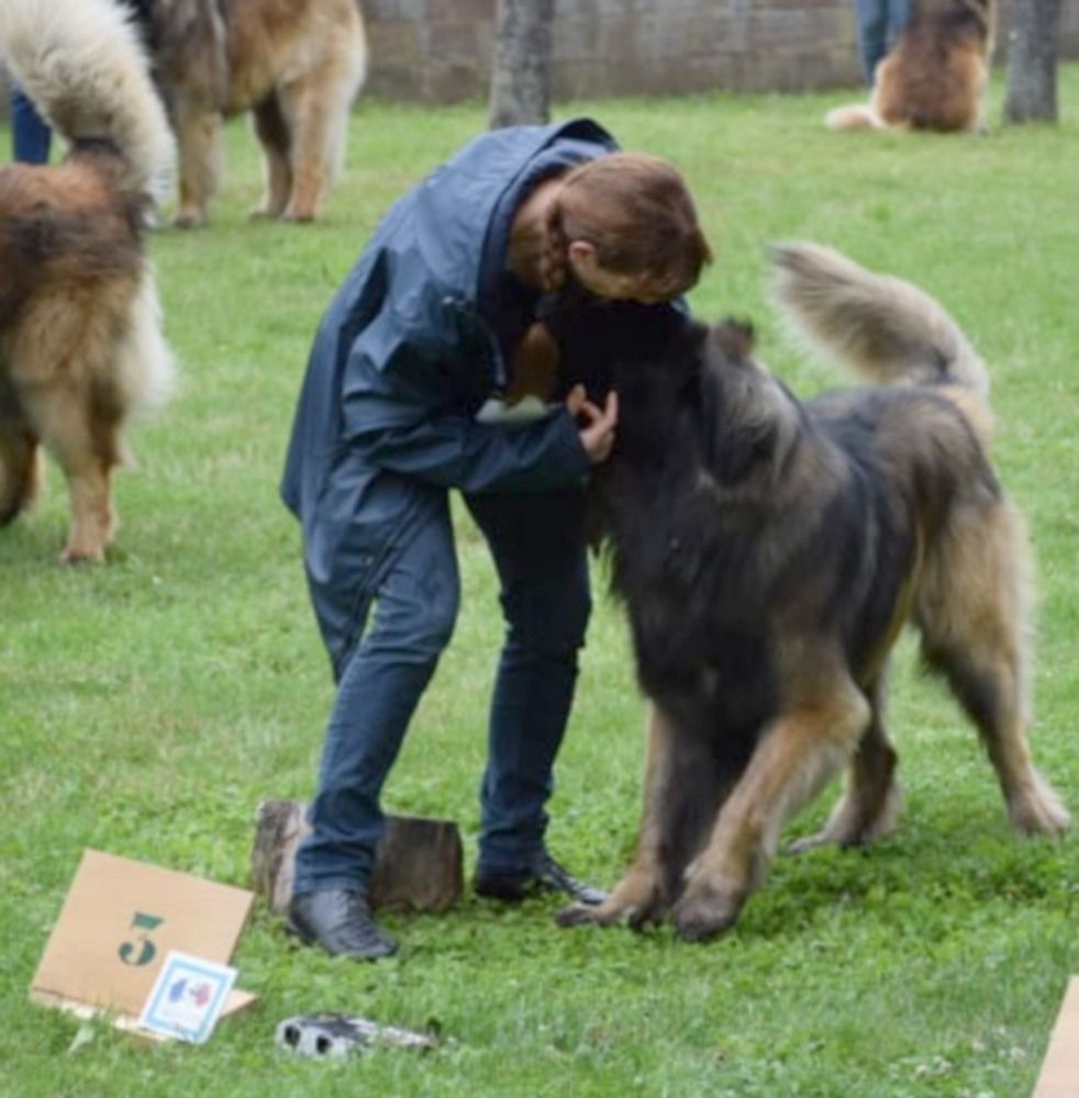 Phiù f'haeliconi des Géants de l'Ange Blanc - 3eme EXCELLENT