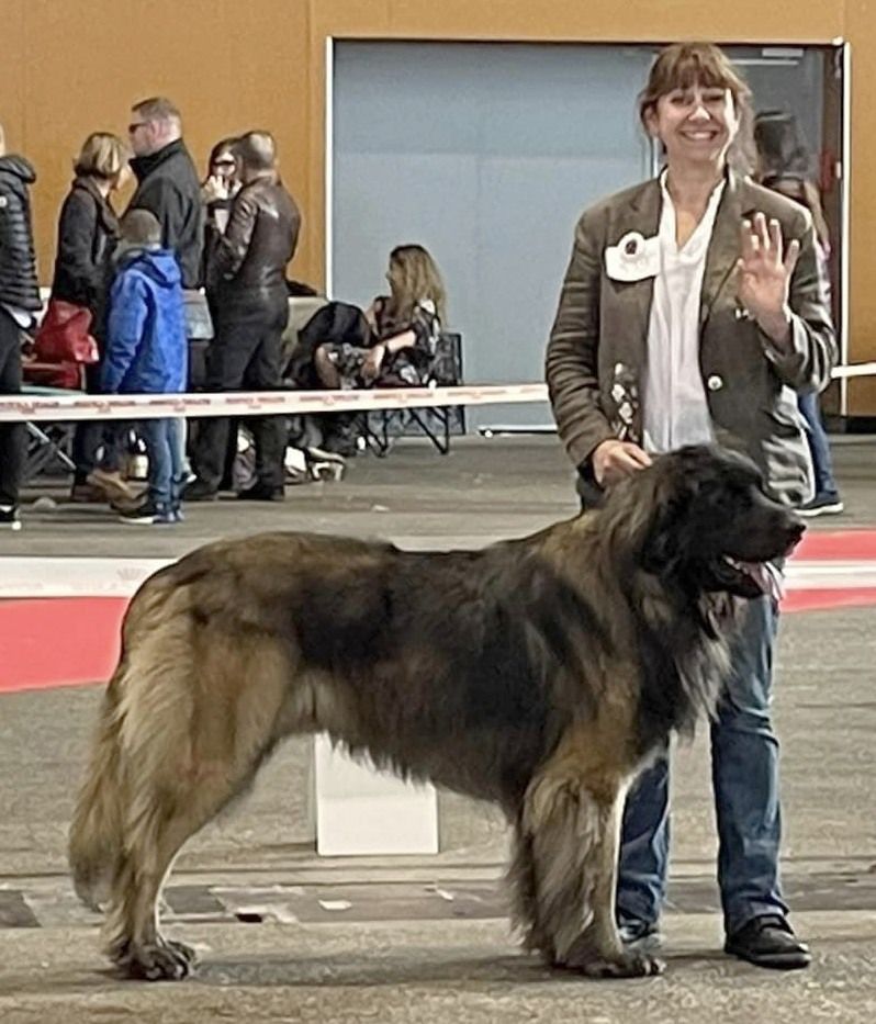 Phiù f'haeliconi des Géants de l'Ange Blanc - 2éme Excellent RCACS