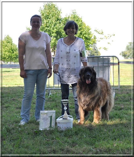 Corellia des lions de la ferronniere - 1ere Excellent