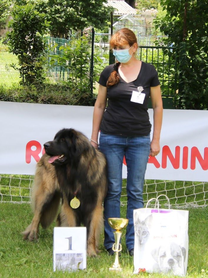 Phiù f'haeliconi des Géants de l'Ange Blanc - 1er EXCELLENT