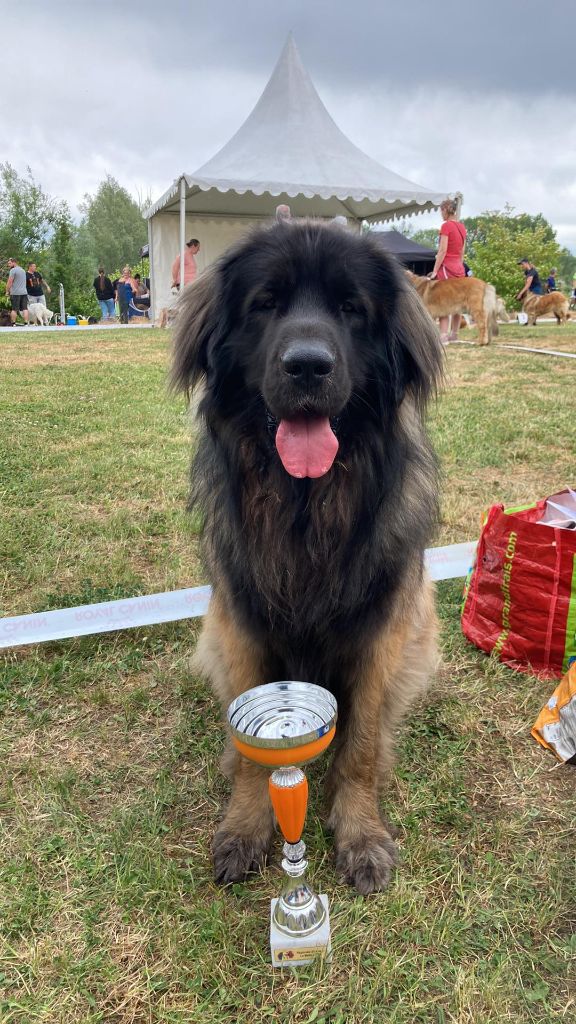 Phiù f'haeliconi des Géants de l'Ange Blanc - 2eme excellent RCACS
