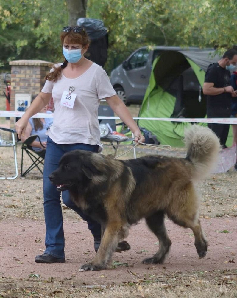 Phiù f'haeliconi des Géants de l'Ange Blanc - EXCELLENT