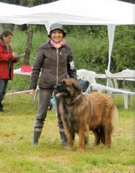 Corellia des lions de la ferronniere - 4EME EXCELLENT