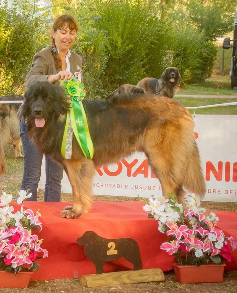 Phiù f'haeliconi des Géants de l'Ange Blanc - 2eme excellent RCACS
