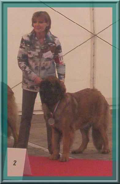 Corellia des lions de la ferronniere - 2 EME TRES BON