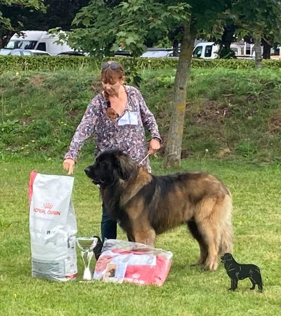 Phiù f'haeliconi des Géants de l'Ange Blanc - 1er EXCELLENT - MEILLEUR MALE