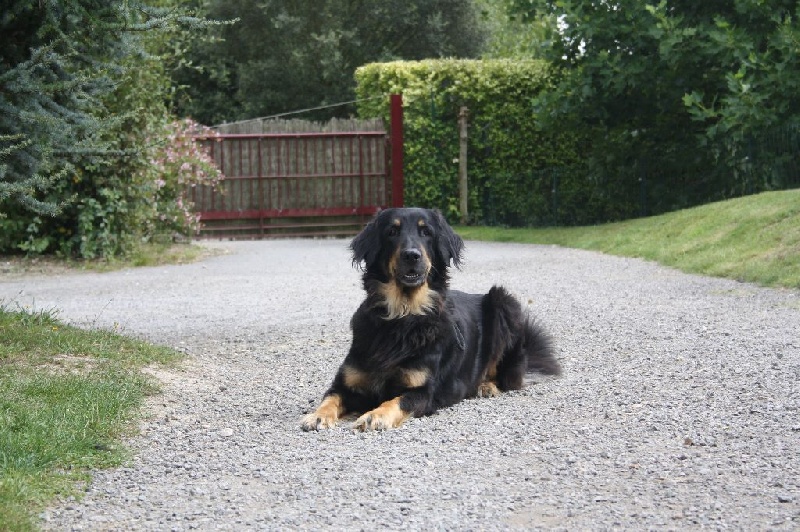 Publication : du domaine des hauts de l'Aulne Auteur : Valérie Drouet