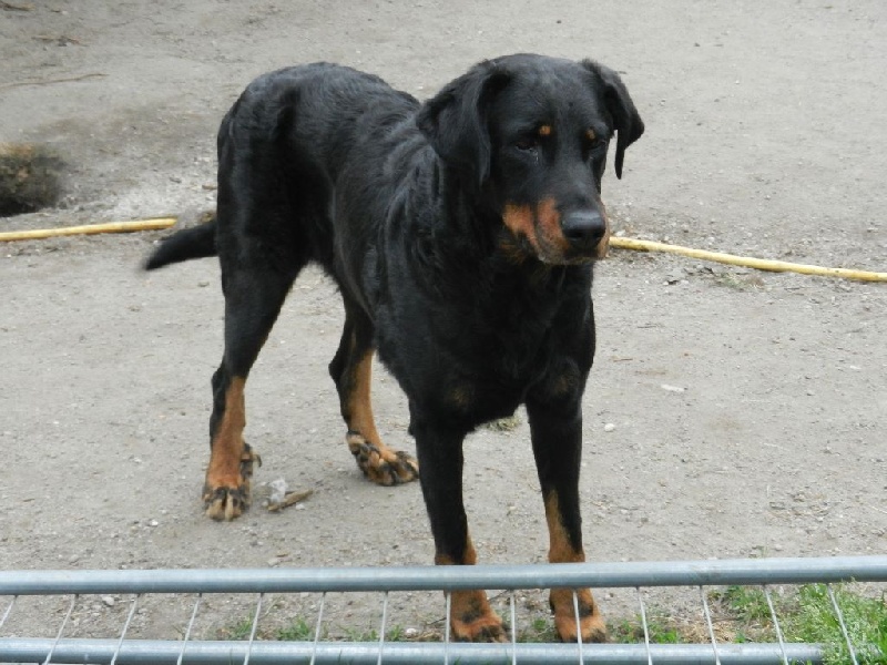 Etna du souvenir de Varof - 1ère EXCELLENTE