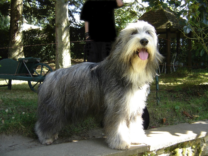 Publication : de la fontaine des champs Auteur : bailly brigitte