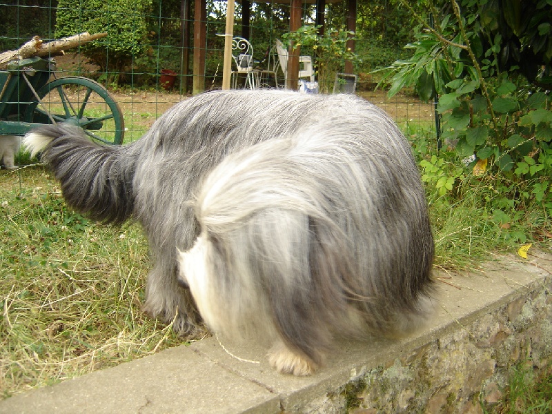 Publication : de la fontaine des champs Auteur : bailly brigitte