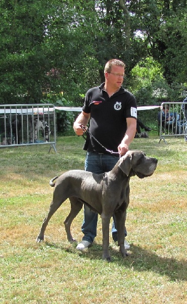 Dhara de l'Ile aux Anges Bleus - 3 EME EXCELLENT