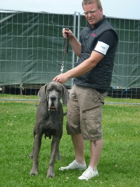 Dhara de l'Ile aux Anges Bleus - 2 EME EXC RCACS