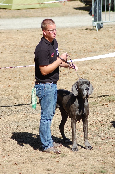 Dhara de l'Ile aux Anges Bleus - EXCELLENT