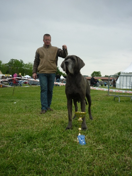 Dhara de l'Ile aux Anges Bleus - 2EME EXC RCACS