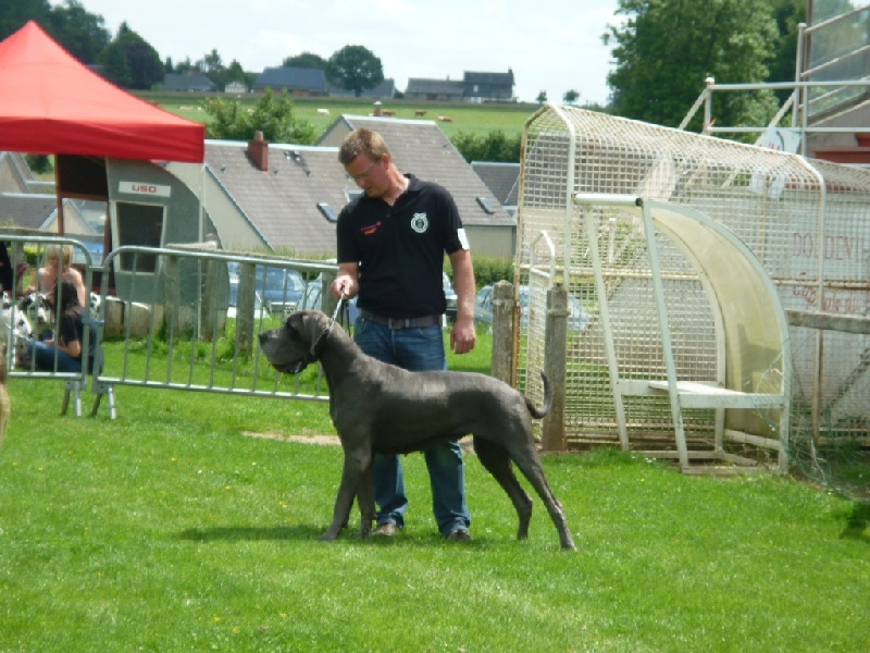 Dhara de l'Ile aux Anges Bleus - 1ERE EXC +